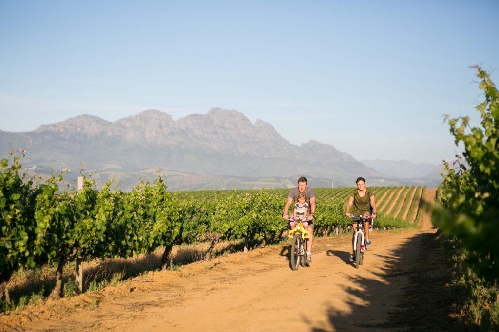 esperienze turistiche, bici nei vigneti
