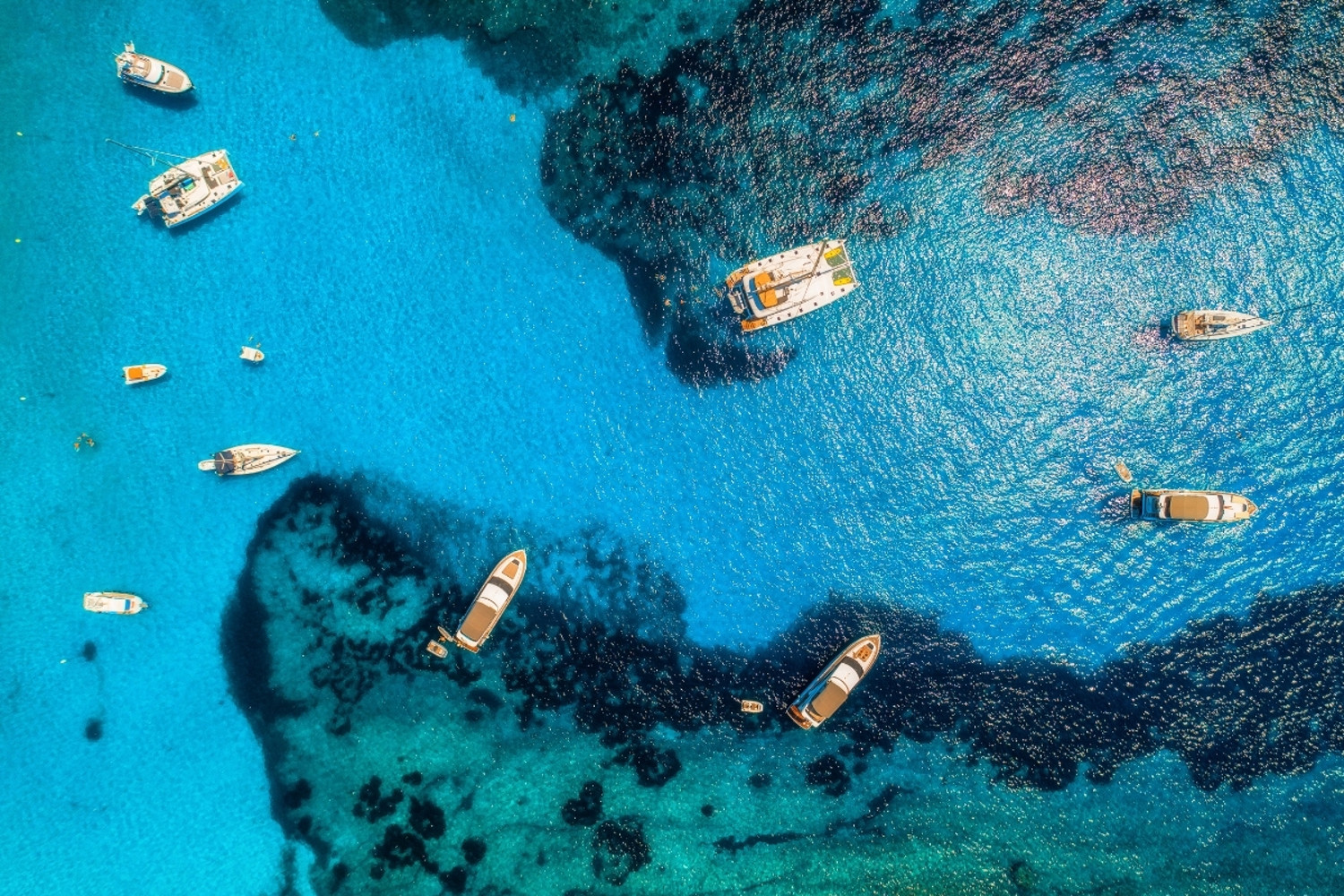 Vacanze in barca estate 2021: i Marina più trendy e le imbarcazioni più esclusive