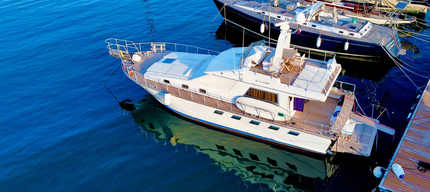 Delphin4